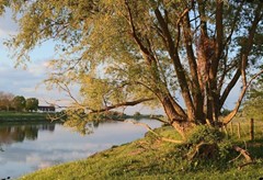 Omgeving foto Ohe en Laak 1.jpg